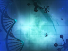 DNA Methylation Testing